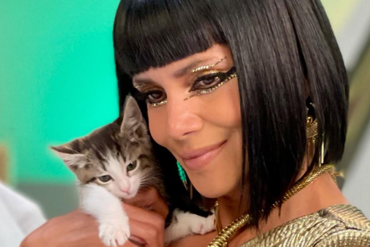 Amor felino: de Halle Berry a Jennifer Garner, los famosos que presumen de sus gatitos en las redes