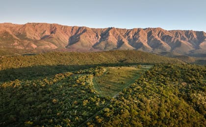 Amplitud térmica, minerales en los suelos, pendientes muy pronunciadas, algunas características de la región