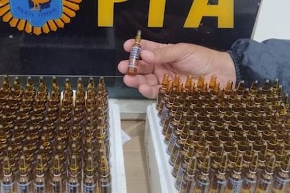 Ampollas secuestradas durante un allanamiento en la investigación del fentanilo contaminado en mayo pasado