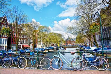 Ámsterdam, la capital de Holanda, esta enfrascada en un combate con el narcotráfico