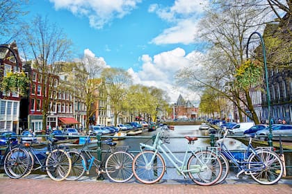 Ámsterdam, la capital de Holanda, esta enfrascada en un combate con el narcotráfico