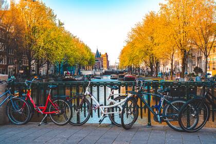 Ámsterdam también fue clasificada como una de las ciudades más caras para alquilar.