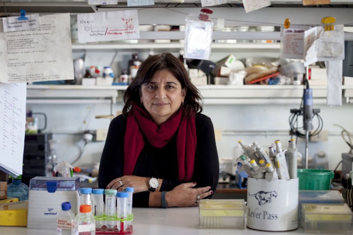 Ana Franchi, investigadora del Conicet