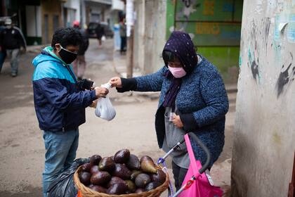 Ana vende paltas en la manzana 13