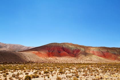 ¿ A cuánto opera el dólar paralelo en Jujuy?
