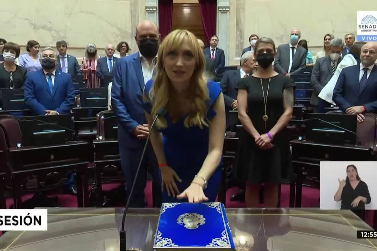 Anabel Fernández Sagasti, clave para Cristina en el Senado