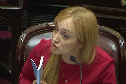 Anabel Fernández Sagasti, senadora del Frente de Todos por Mendoza