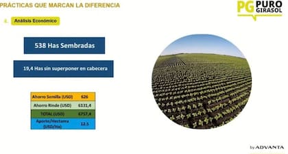 Análisis económico