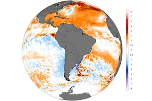 Análisis de temperatura de los mares al 11 de agosto (NOAA)-Bolsa de Cereales de Buenos Aires
