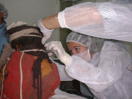 Análisis del pelo de El Niño del volcán Llullaillaco en la Universidad Católica de Salta.