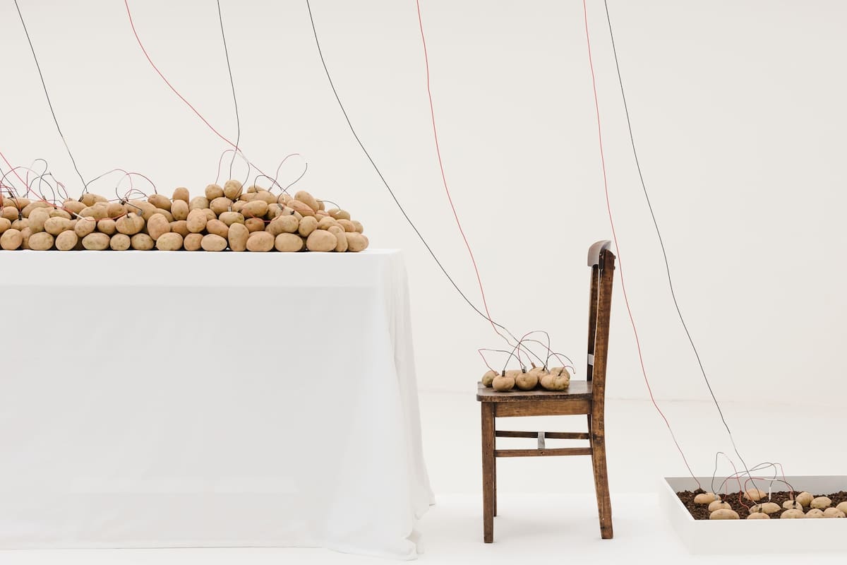 Analogía I, 2da versión. Creada en 1970 e instalada en la actual Bienal de San Pablo