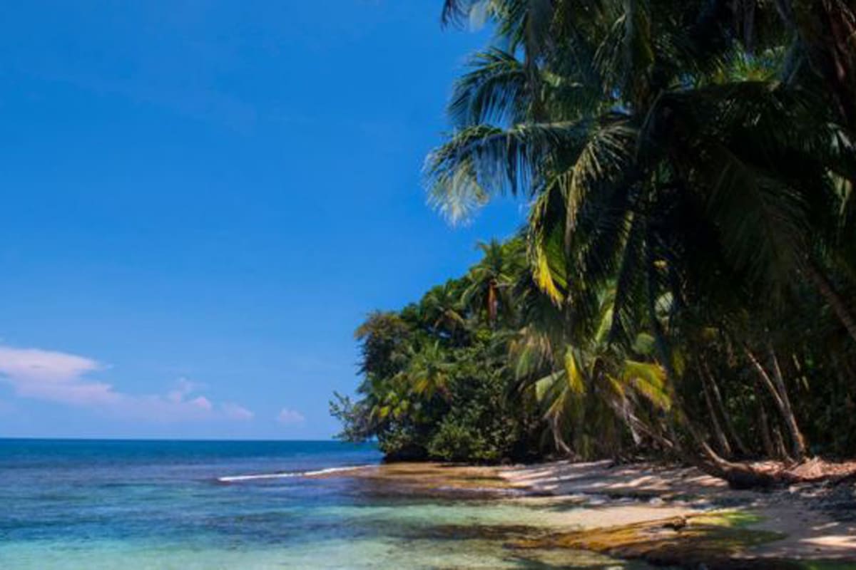 "El mundo es un libro y aquellos que no viajan solo ven una página"