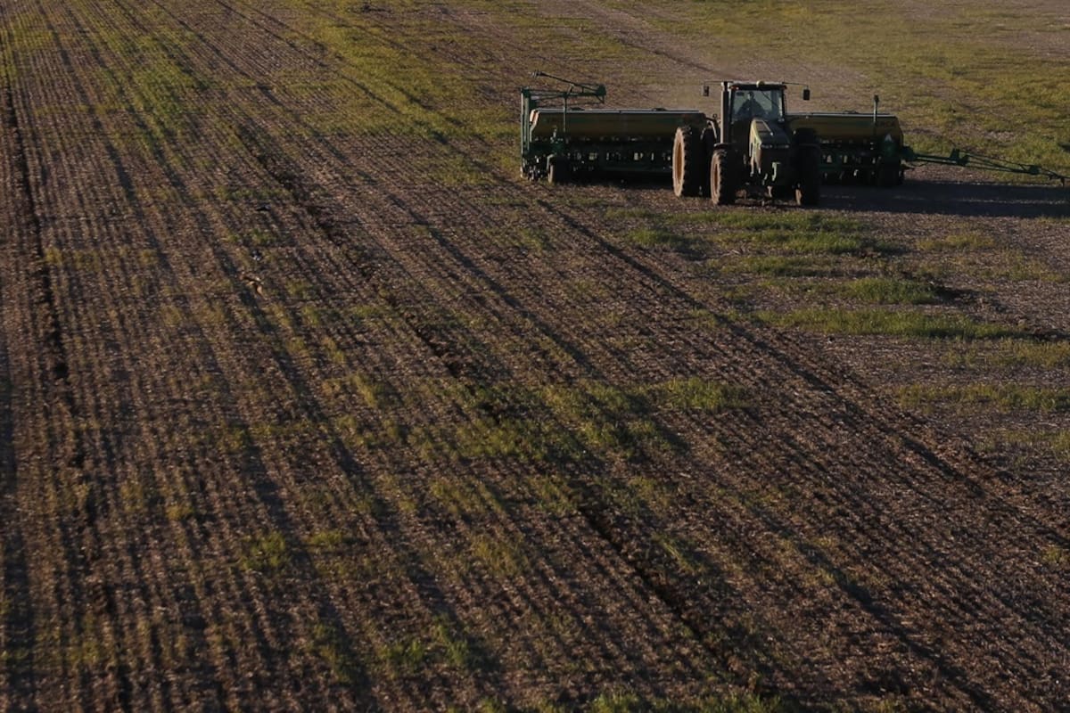 "El sector agropecuario y agroindustrial tiene mucho para aportar en las actuales circunstancias, puede hacerlo en forma muy rápida y sin ningún tipo de asistencia del Estado"
