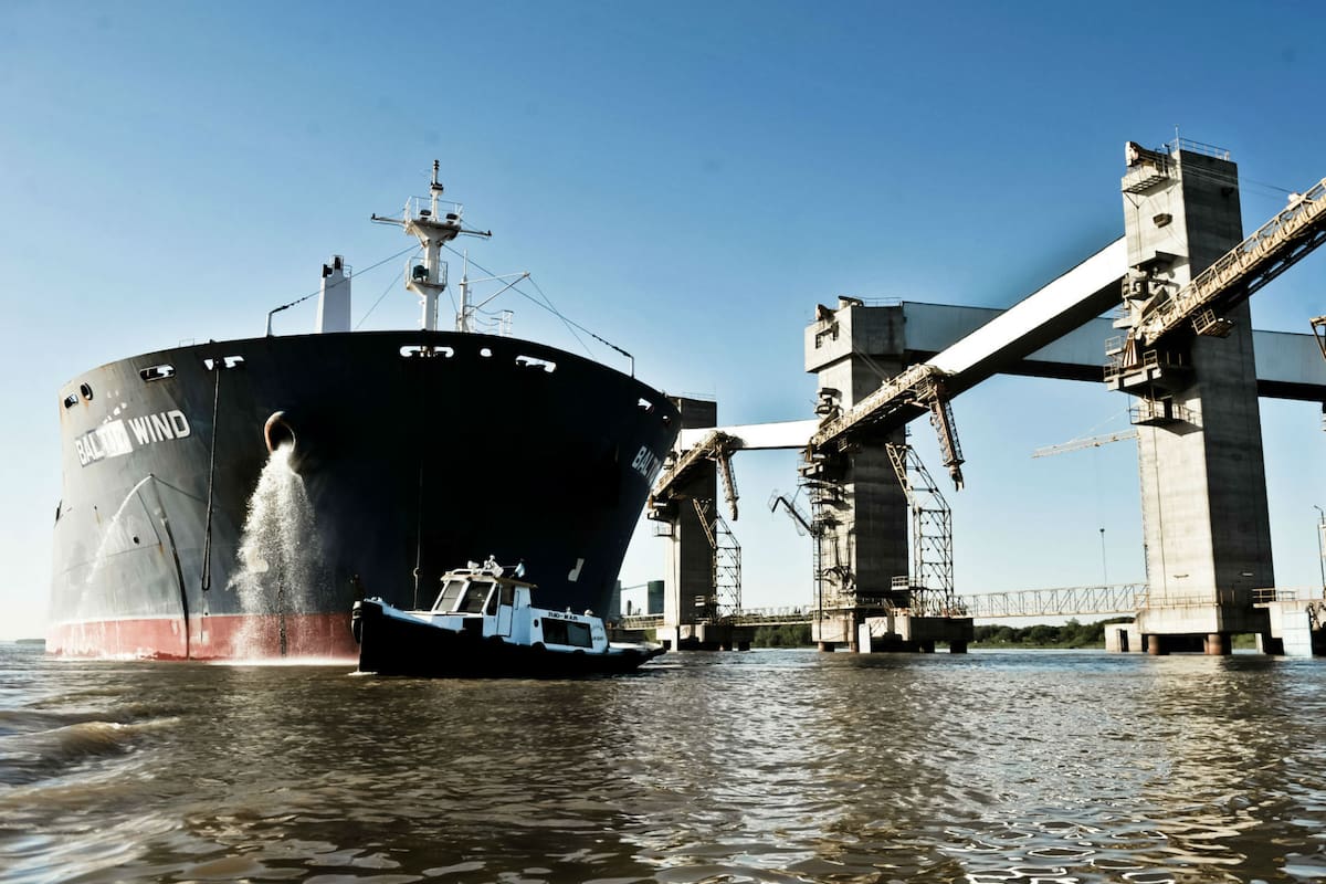 "Es importante equiparar el peso fiscal sobre los productos primarios y los industriales de modo de salir del proceso de primarización de nuestras exportaciones en el que nos encontramos"