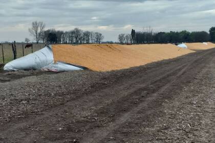 "Esto es para volver a sembrar, para las semillas, los trabajos", dijo el productor
