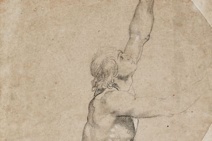 "Estudio de hombre desnudo con brazos en alto", de Pedro Pablo Rubens (detalle)