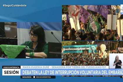 "¿Hasta cuándo nos van a condenar a la clandestinidad, a la muerte y a la cárcel?", se preguntó la senadora fueguina