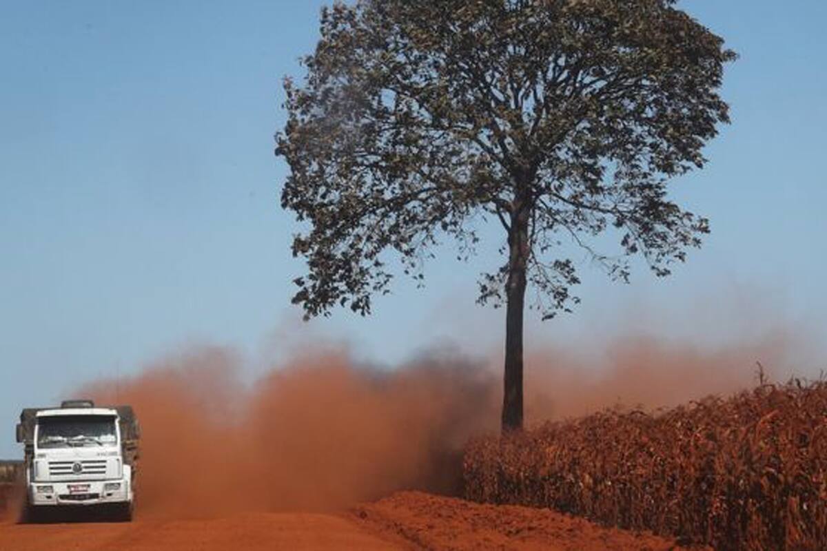 "La vegetación de sabana ya no logrará generar una parte de la lluvia que generaba el bosque tropical"