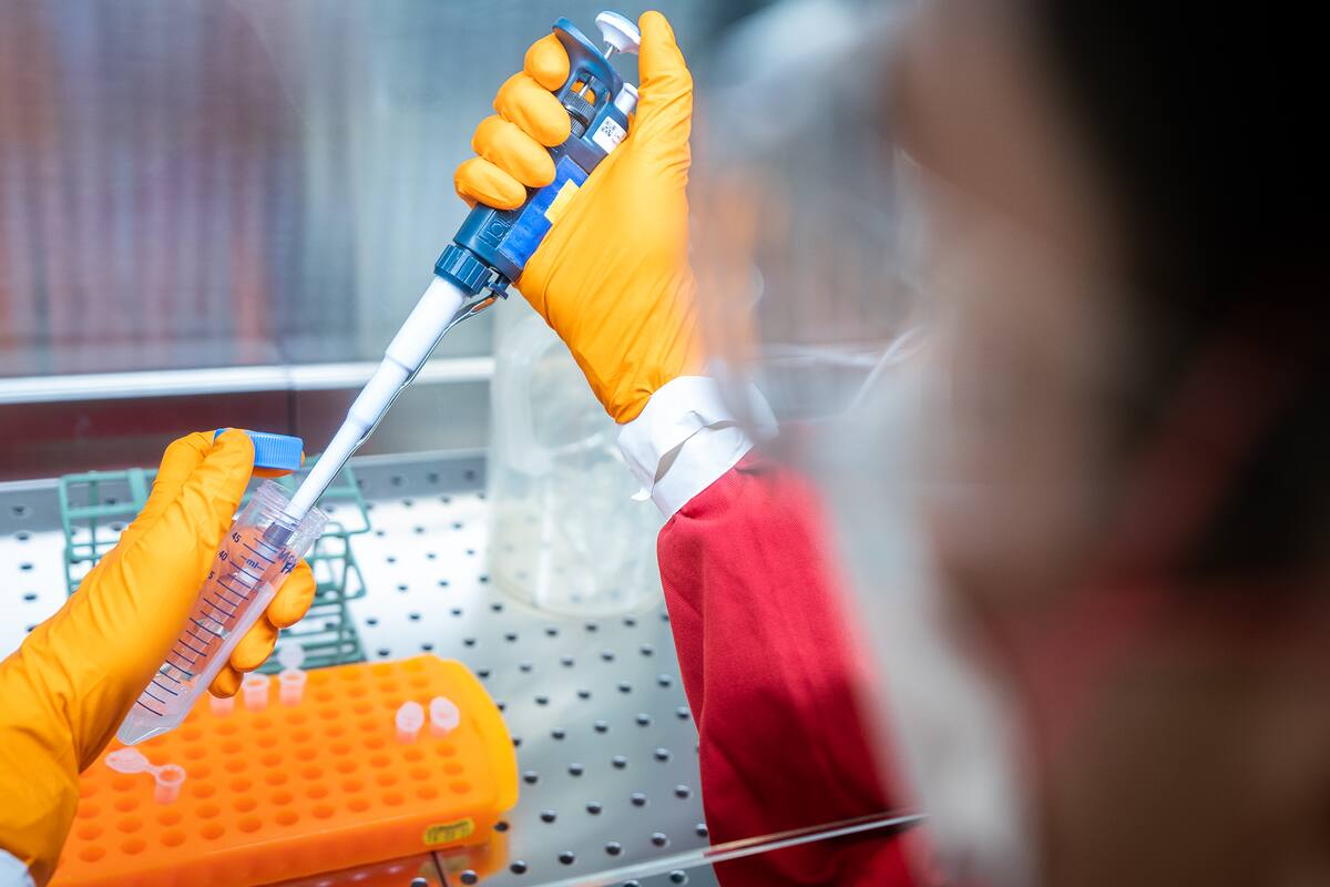 "Nos complace ver que las autoridades argentinas están al tanto del subregistro de pruebas negativas y están comprometidas a abordar el problema", dijo el equipo de Our World in Data