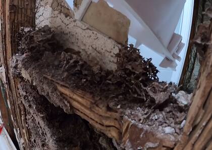 Los insectos se fueron comiendo la casa desde adentro (A Current Afair)