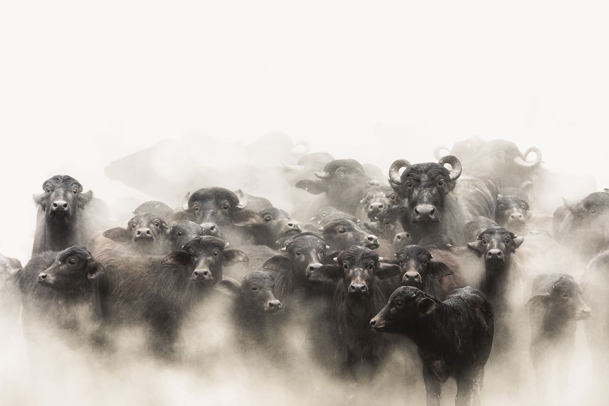 "Quiero transmitir la potencia en una foto. No creo en Dios, pero siento que existe un Dios en esos lugares"