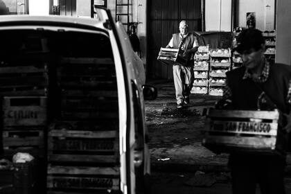 "Una vida de servicio", en el Banco Alimentario de La Plata recuperan frutas y verduras que no se comercializan pero que son aptas para el consumo humano. Las procesan y luego las reparten entre las más de 90 instituciones beneficiarias.