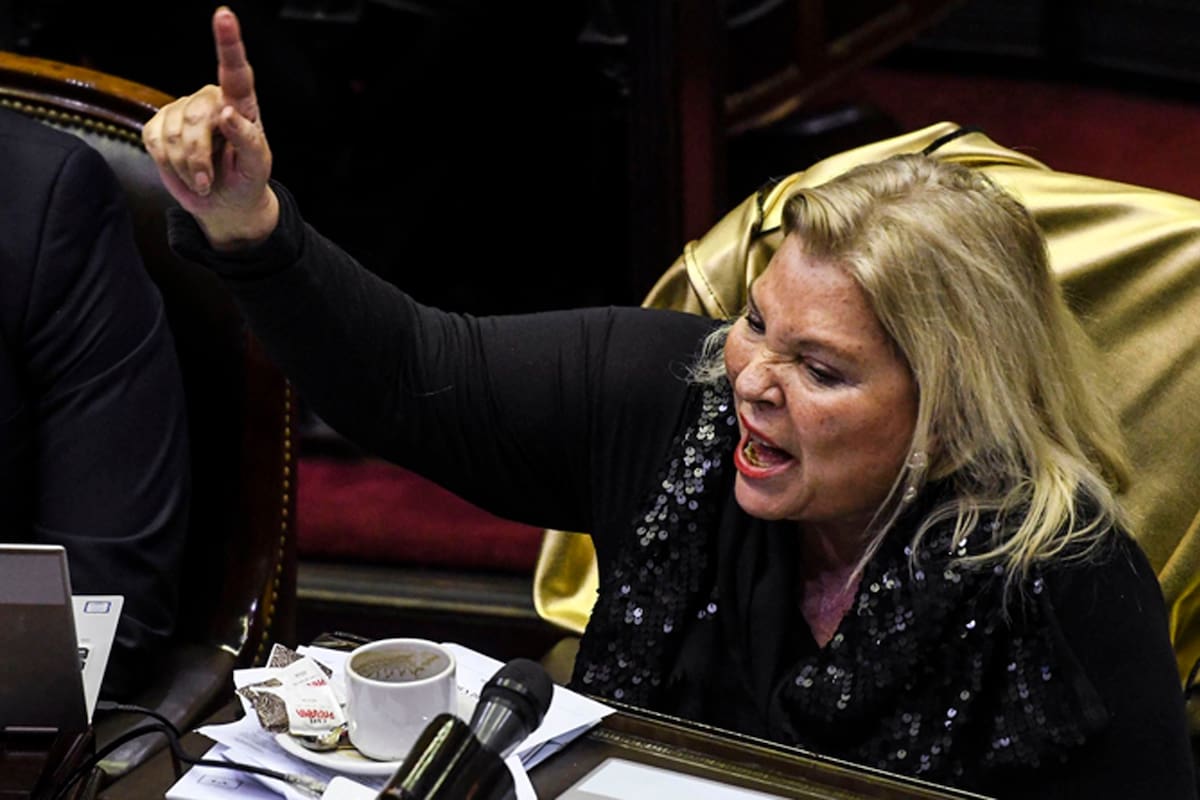 "Vine a poner el cuerpo", dijo Carrió al llegar a la Cámara