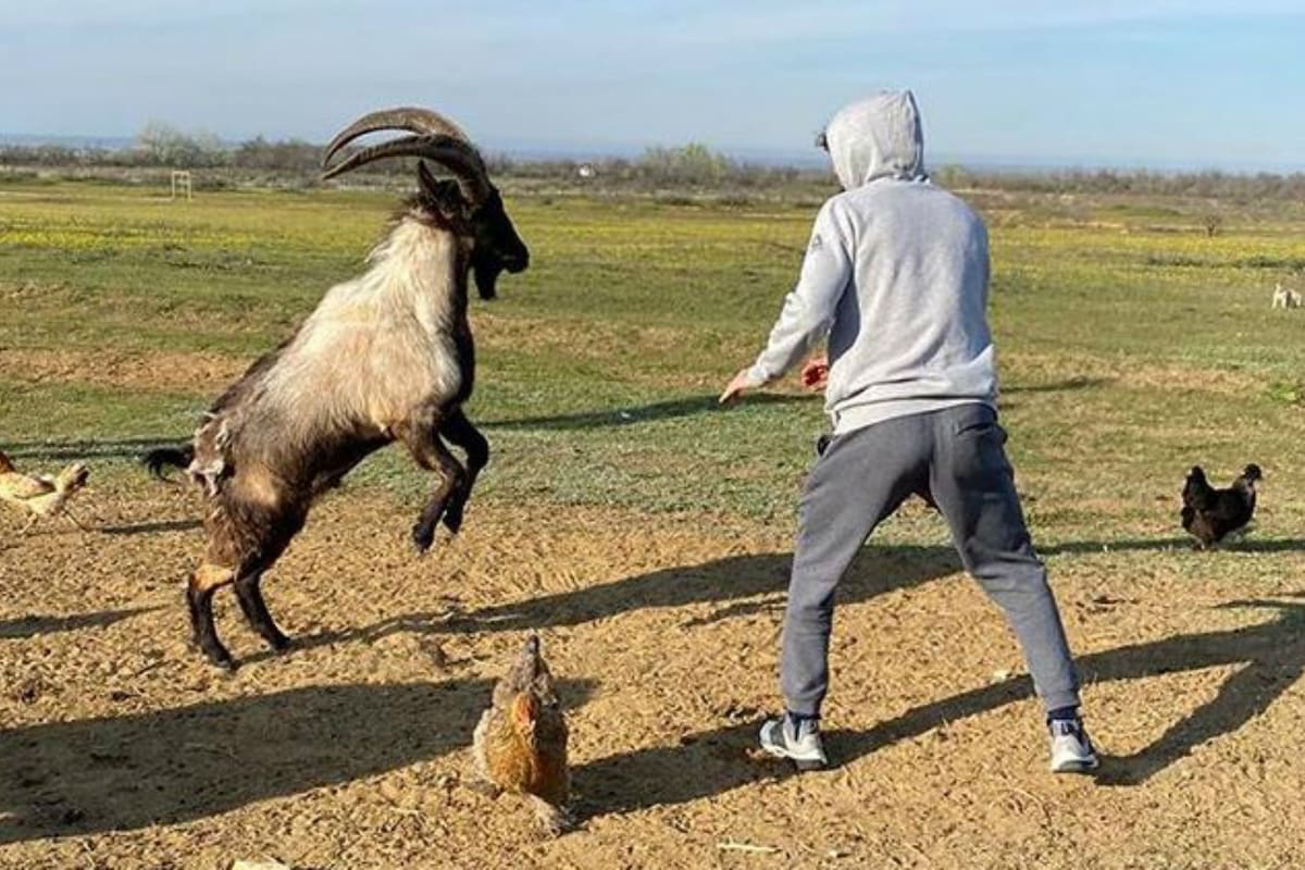 "ZaBeast" generó una fuerte polémica en redes