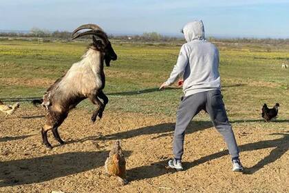 "ZaBeast" generó una fuerte polémica en redes