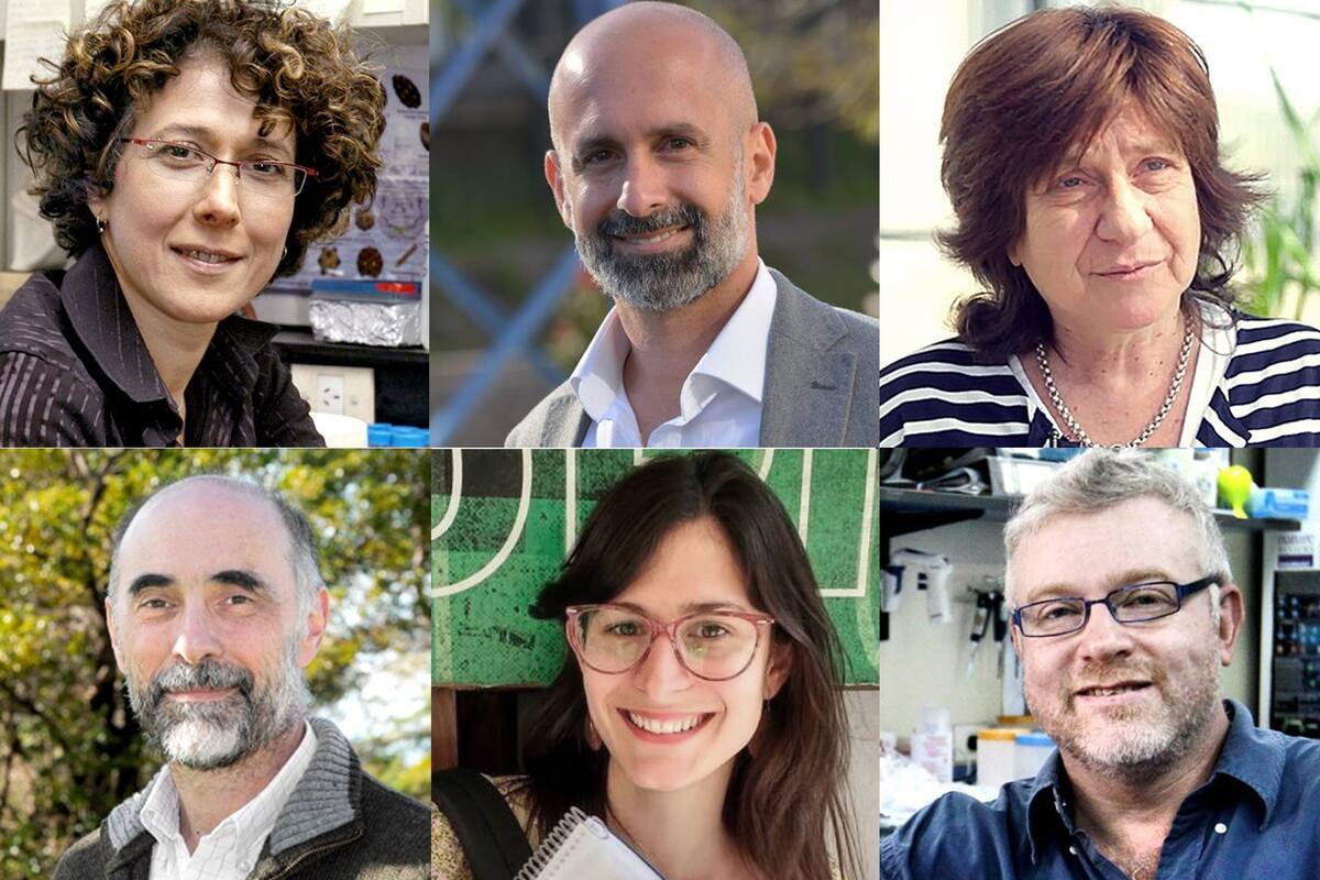 Andrea Gamarnik, Fernando Stefani, Raquel Chan, Jorge Aliaga, Lucila DUrso y Gabriel Rabinovich