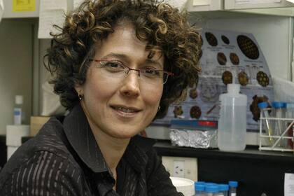 Andrea Gamarnik, jefa del laboratorio de virología Molecular de la Fundación Instituto Leloir