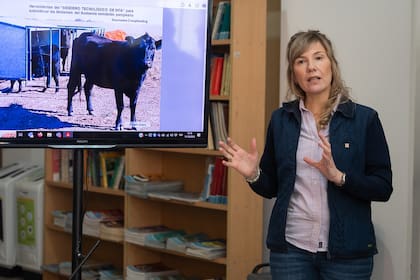 Andrea Lauric, ingeniera agrónoma e integrante de INTA Bahía Blanca, explica las bondades del mijo anual