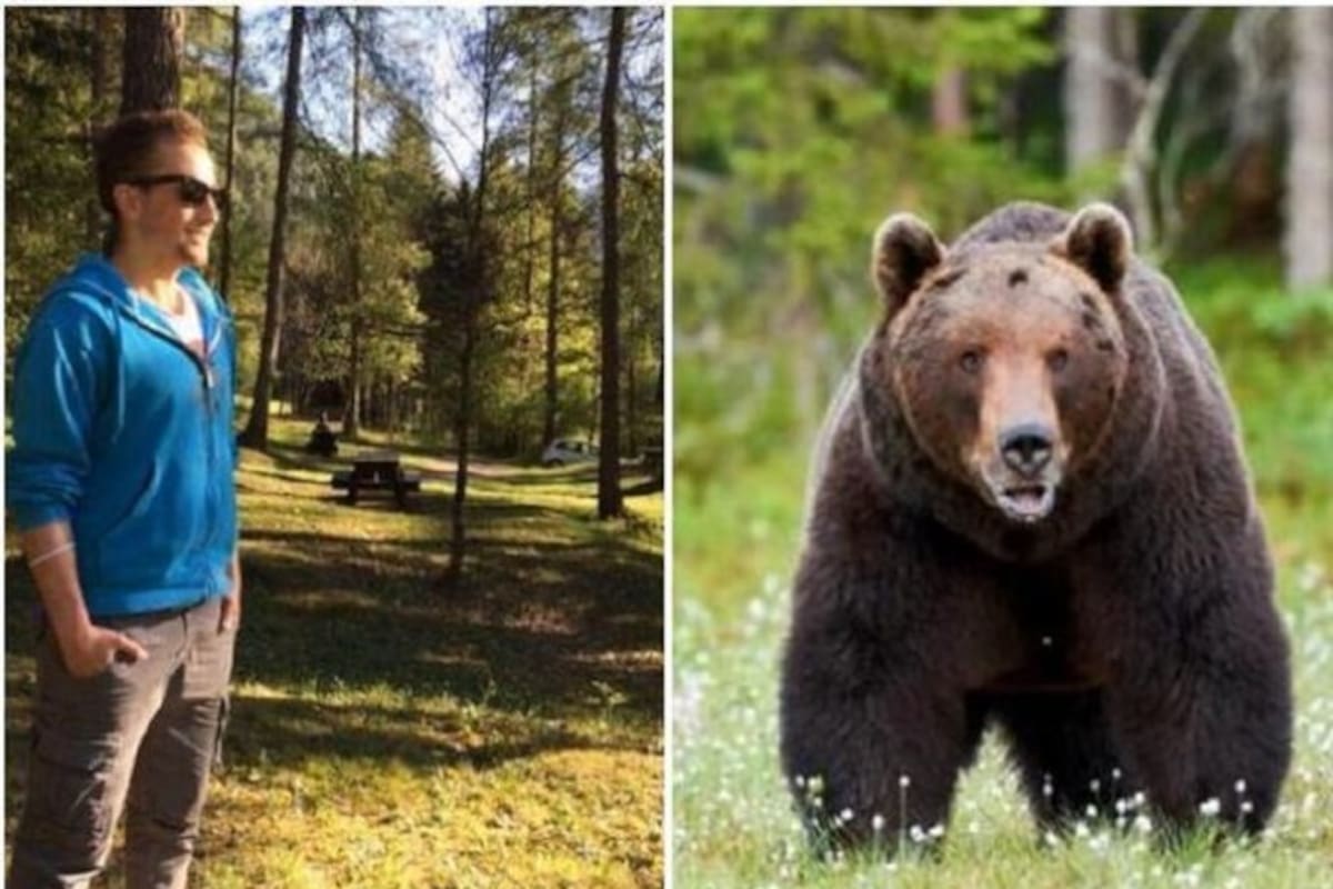 Andrea Papi fue atacado por un oso en la región del Trentino