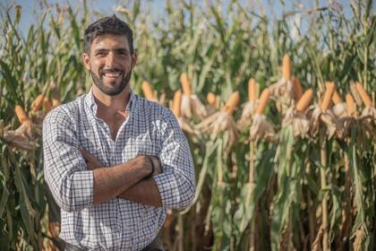 Andrés Caggiano: “Considerando los híbridos y los tratamientos incluidos dentro de estos ensayos construimos un modelo curvilineal que relaciona el rendimiento de los híbridos de maíz y su consumo de N absorbido"