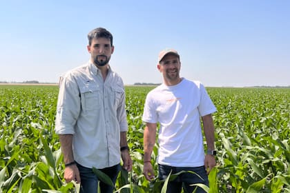 Andrés Caggiano, gerente de Desarrollo de Producto en NK, y Leo Ponzio en un maíz