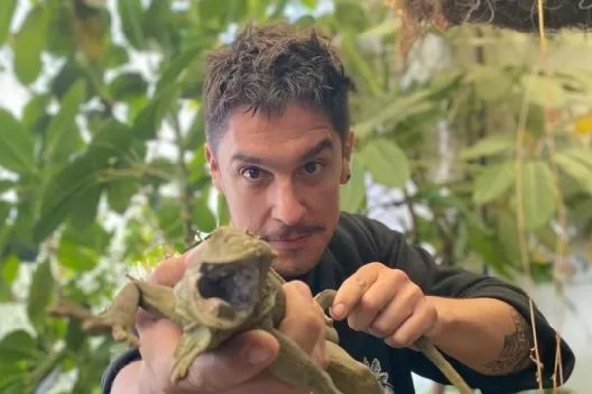 Andrés Cota Hiriart en Ciudad de México: "El alarmismo no ha servido. Yo en mi libro intento el humor para aproximarme a temas muy escabrosos"