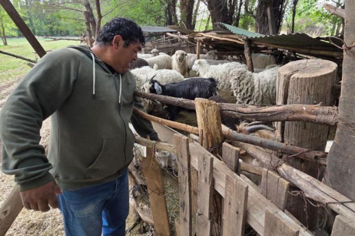 Andrés Durán alimentando a sus animales de granja.