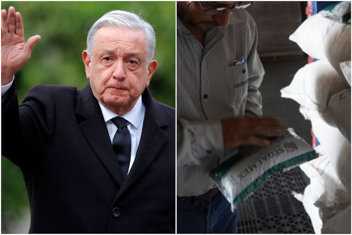 Andrés Manuel López Obrador creó Segalmex en enero de 2019