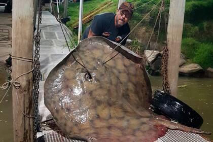 Andrés Wilchen pescó una mantarraya de 250 kilos en el Río Paraná