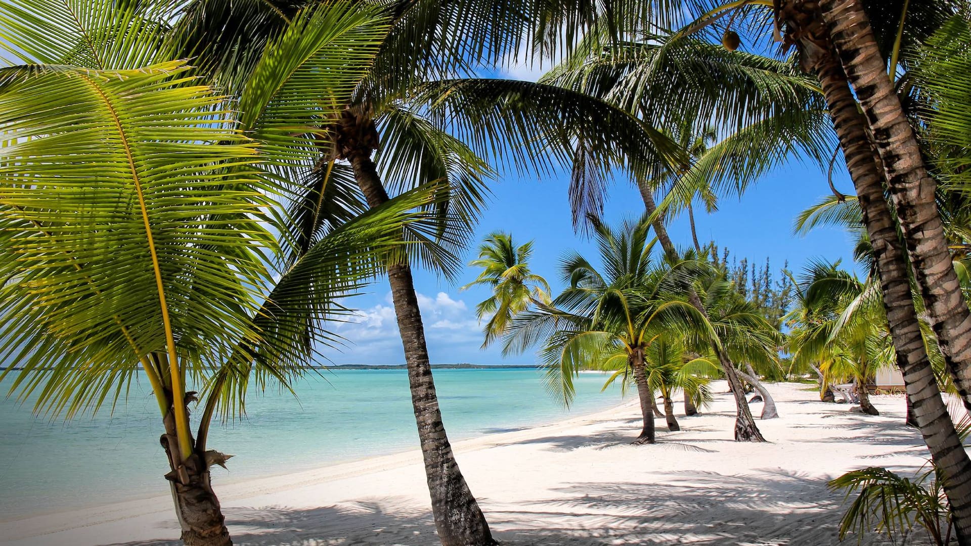 Isla de Andros, Bahamas.