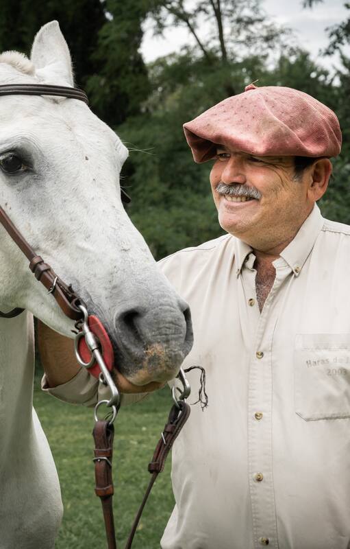 Andy Pavlovsky es un apasionado de los caballos árabes.