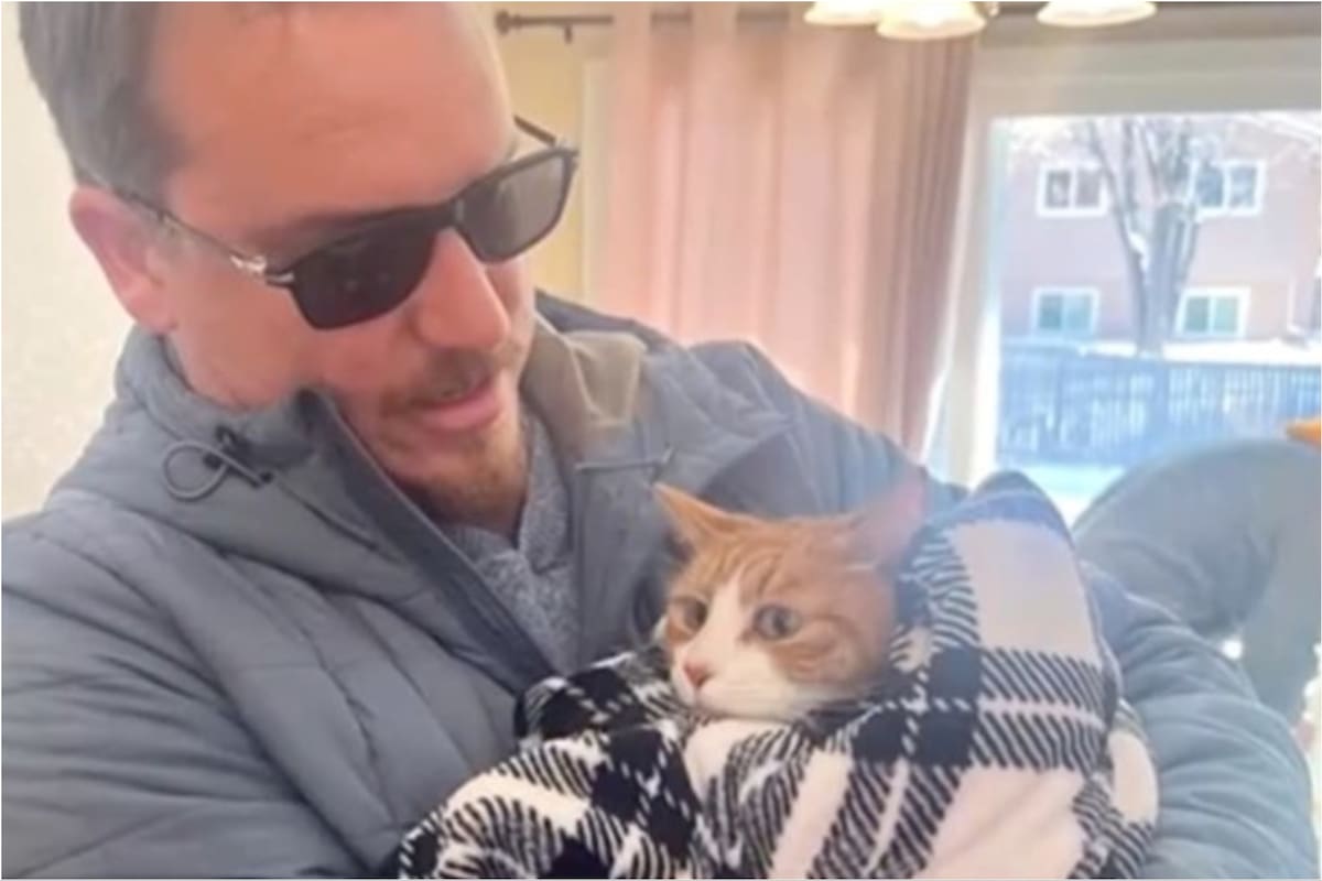 Andy y Sunny, la gata que sobrevivió tres semanas sin comer en el interior de un sofá