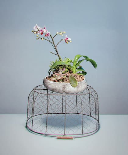 Anette flowers, @anette_flowers