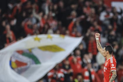 Ángel Di María festeja su gol con los hinchas de Benfica