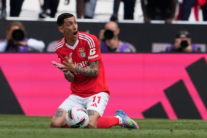 Ángel Di María sería titular en Benfica en el arranque del Mundial de Clubes