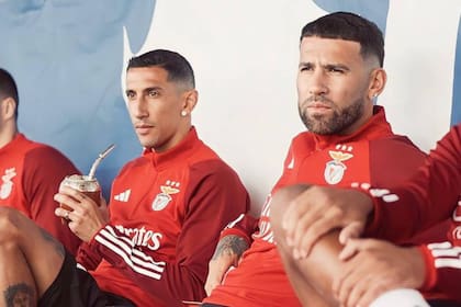 Ángel Di María y Nicolás Otamendi, compañeros en el Benfica