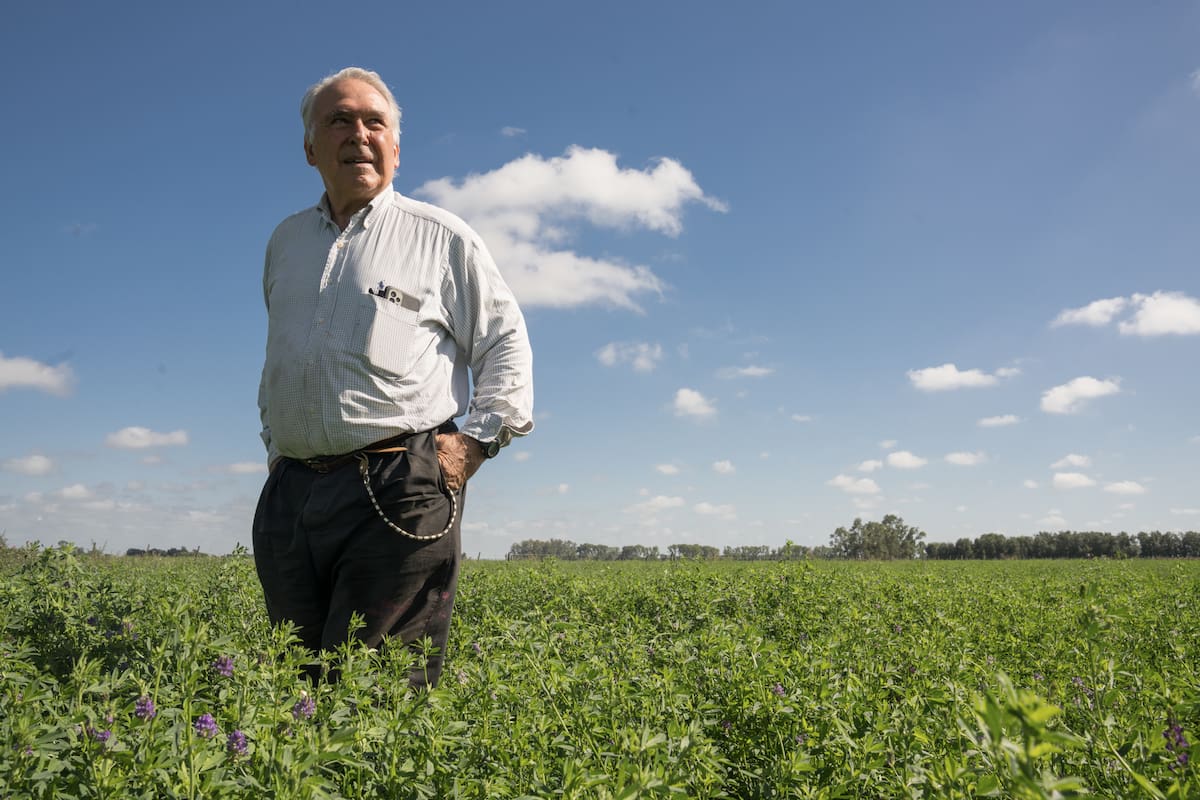 Ángel Estrada sobre la alfalfa que cultiva sin agroquímicos.