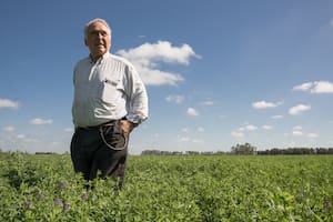 Ángel Estrada chequea el estado de la alfalfa que cultiva sin agroquímicos.