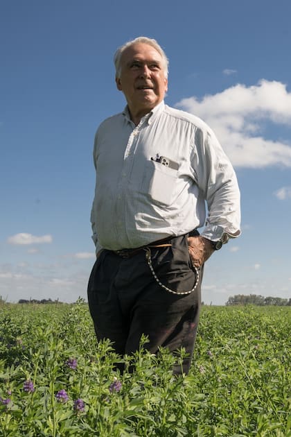 Ángel Estrada chequea el estado de la alfalfa que cultiva sin agroquímicos.