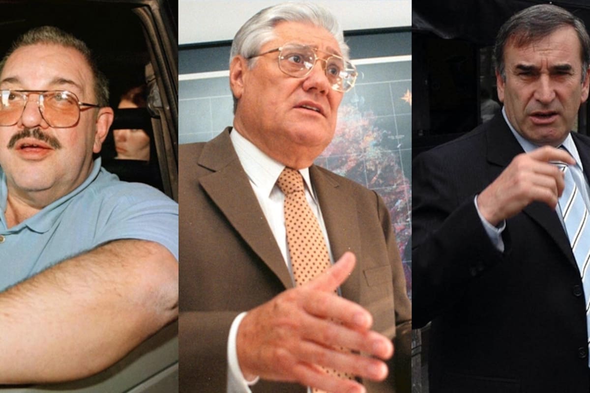 Angel Luque fue expulsado de la Cámara de Diputados en 1991 por "indignidad moral", Angeloz perdió los fueros temporariamente en 1996 por una investigación por enriquecimiento ilícito, y Luis Patti ni siquiera pudo jurar en 2005, acusado por delitos de lesa humanidad